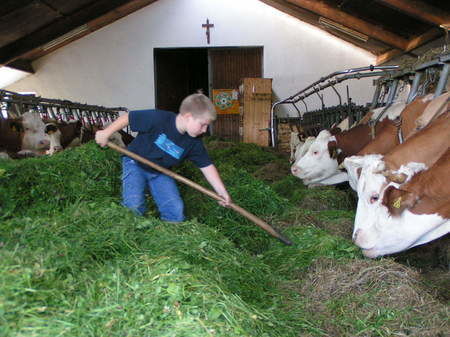 Spielplatz - Familienbauernhof König bei Regen