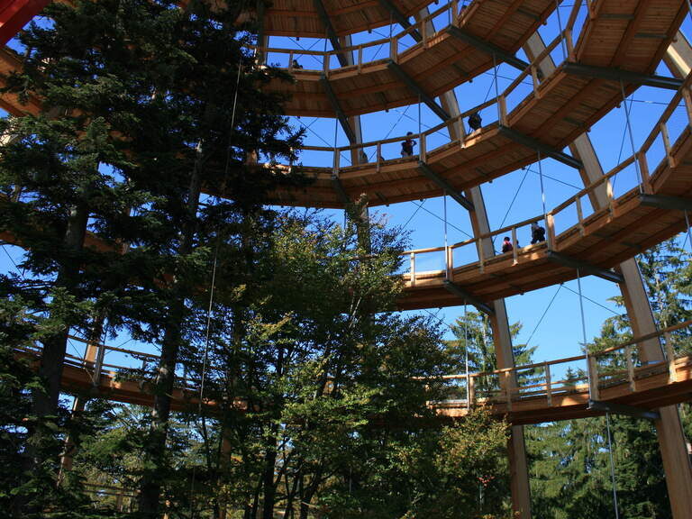 Der Blick auf das Innere des Baumeis mit seinem nach oben führendem Aufgang zu Spitze.