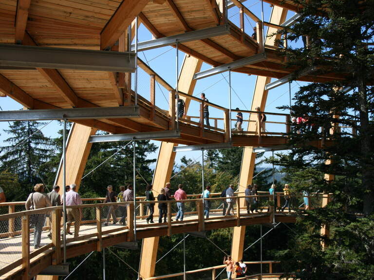 Eine Personengruppe geht im Bauei nach oben und bestaunt dabei die Bäume um die die Konstruktion erbaut wurde.